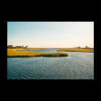Swan River - Medium / Rolled (No Frame) / N/A