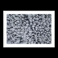 Holiday - Statement / White / Matted