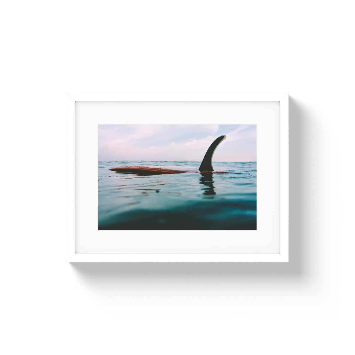 Afloat - Small / White / Matted