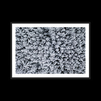 Holiday - X-Large / Black / Matted