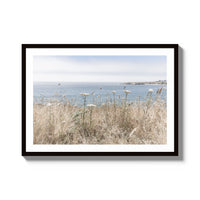 California Wildflowers - X-Large / Black / Matted