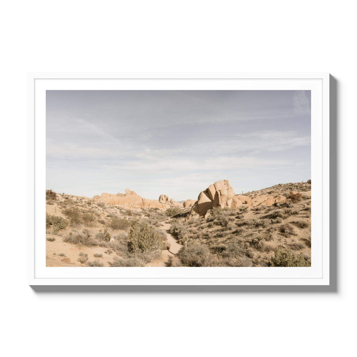 Deset Daydream - Gallery / White / Matted