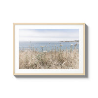 California Wildflowers - Large / Natural / Matted