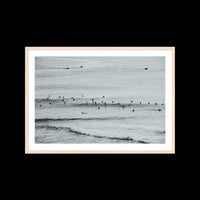 The Racetracks - Large / Natural / Matted