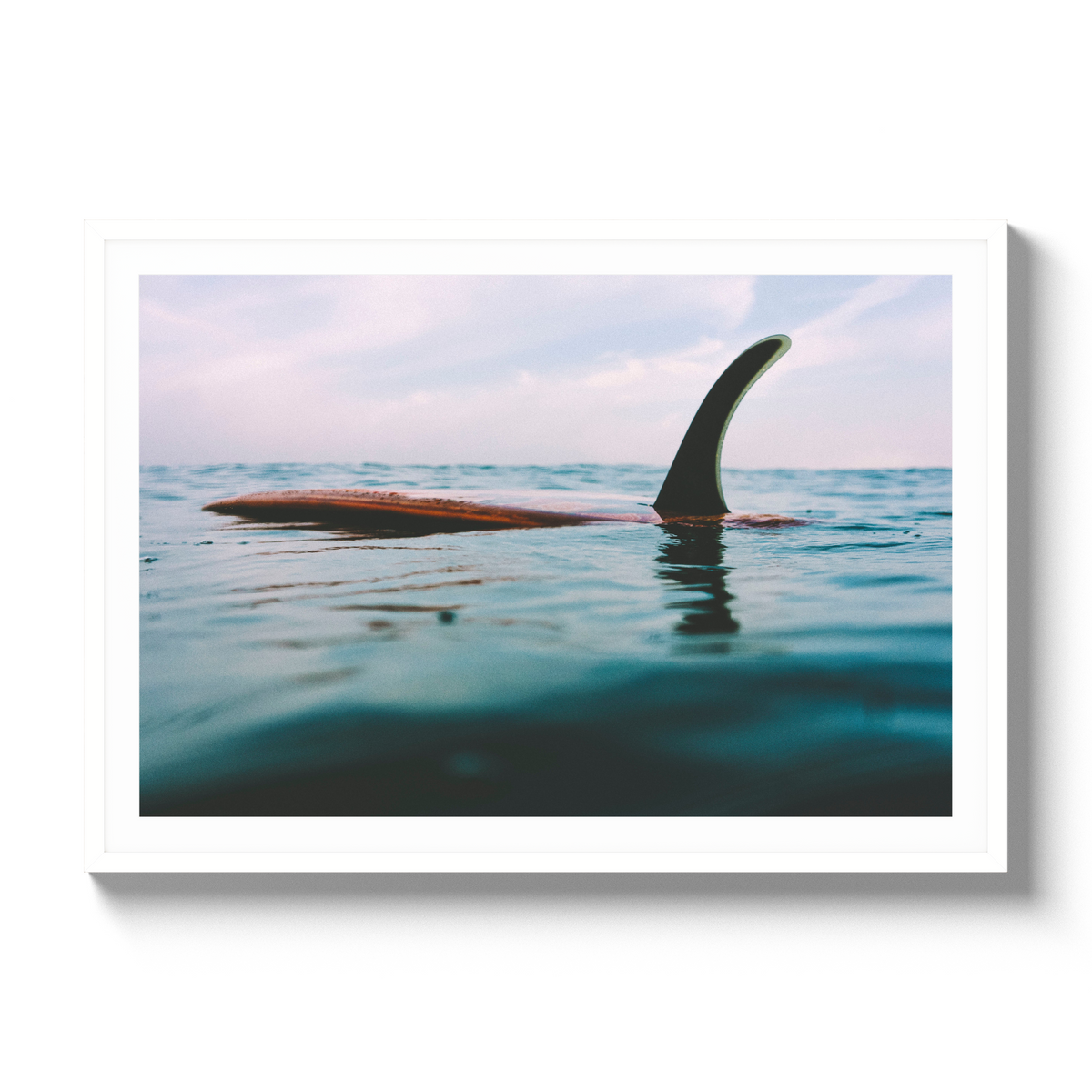 Afloat - Gallery / White / Matted