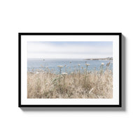 California Wildflowers - Large / Black / Matted