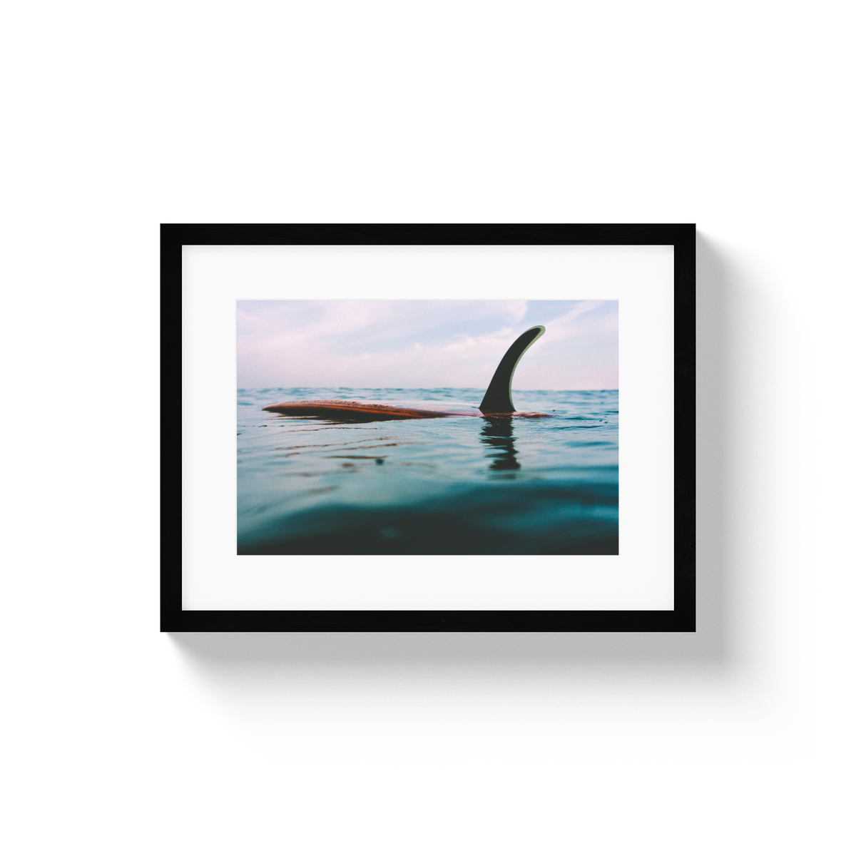 Afloat - Small / Black / Matted