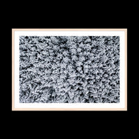 Holiday - Gallery / Natural / Matted