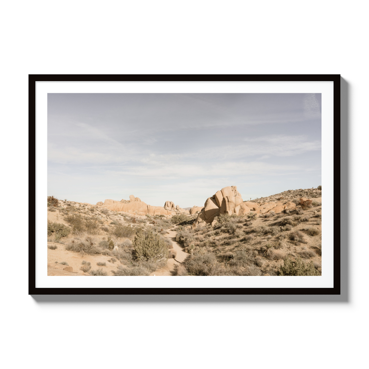 Deset Daydream - Gallery / Black / Matted