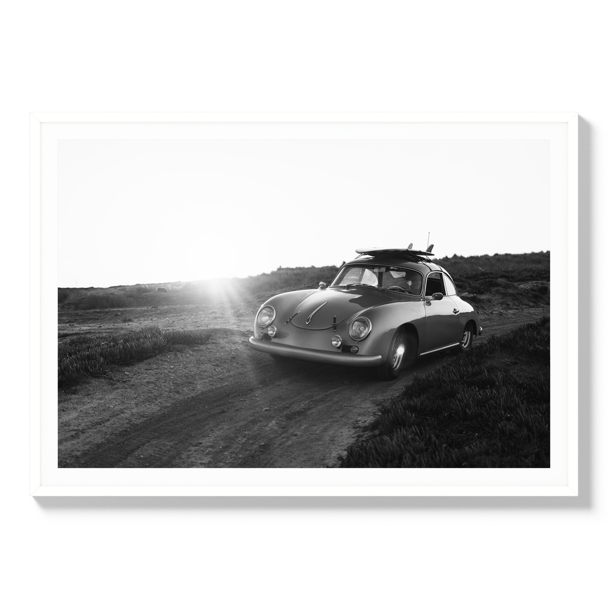 Dawn Patrol - Statement / White / Matted