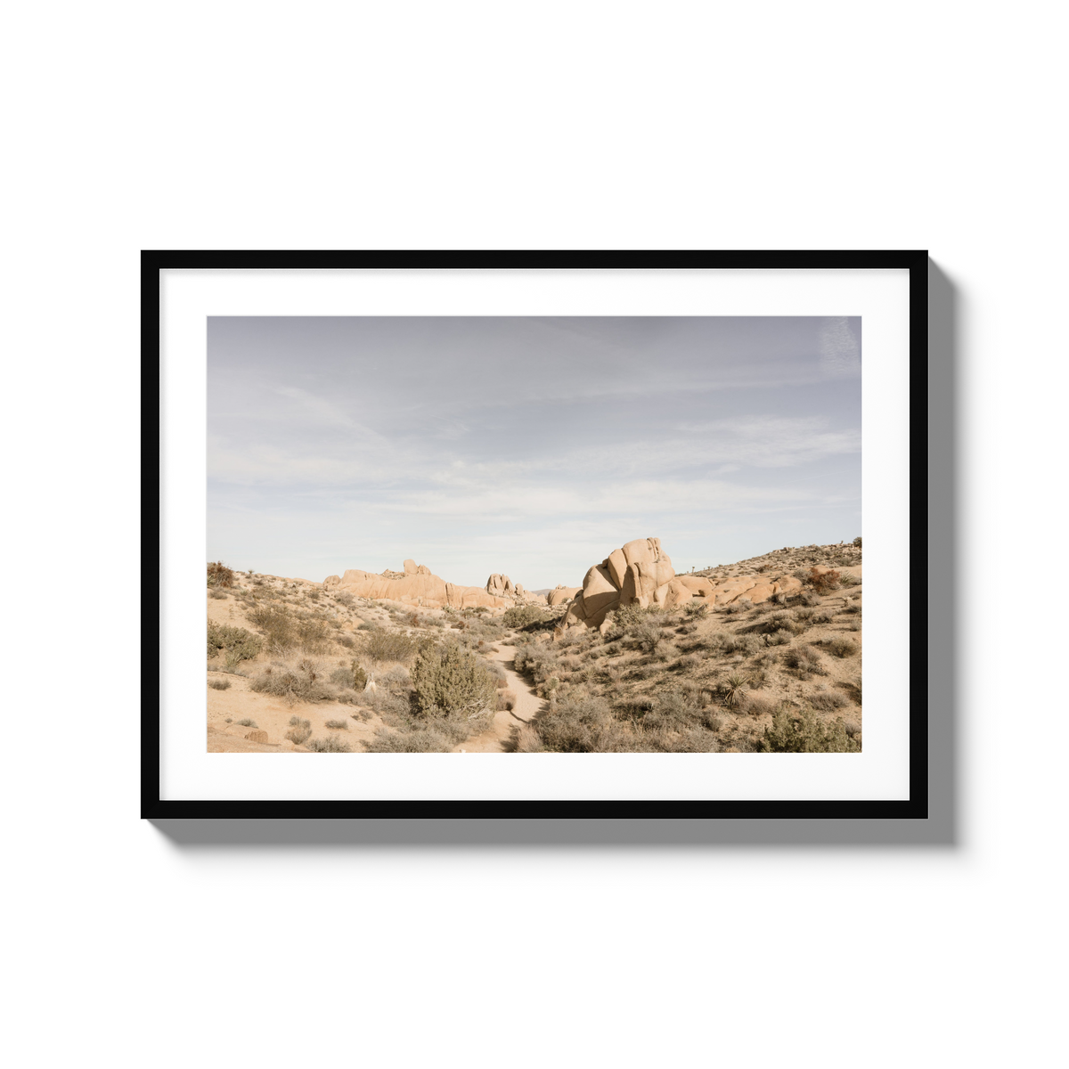 Deset Daydream - Large / Black / Matted