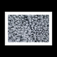 Holiday - Gallery / White / Matted