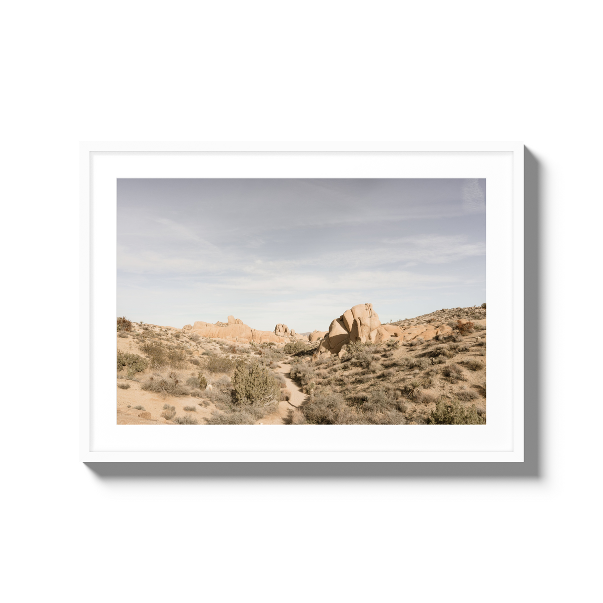 Deset Daydream - Large / White / Matted