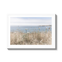 California Wildflowers - X-Large / White / Matted