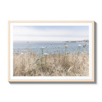 California Wildflowers - Gallery / Natural / Matted