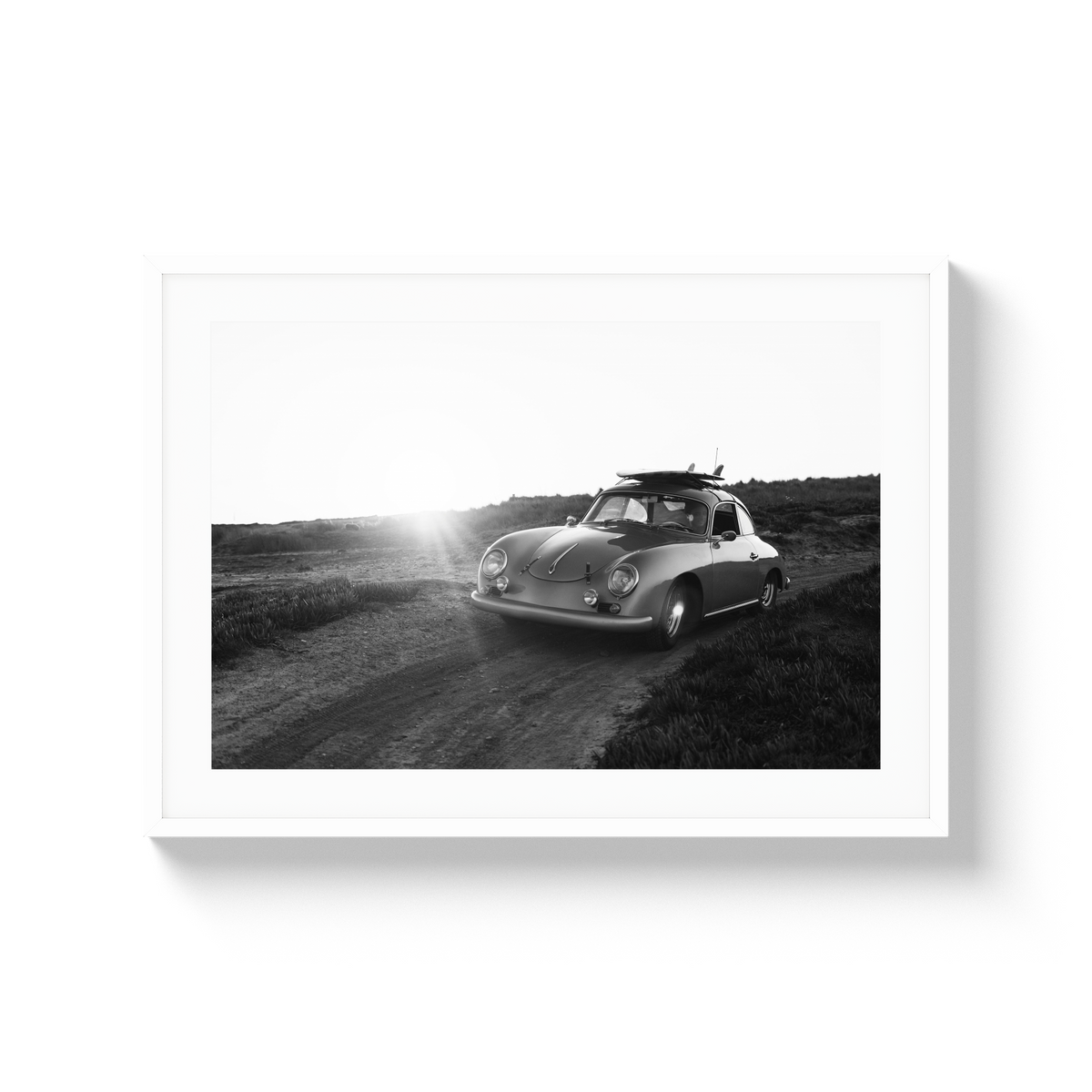 Dawn Patrol - Large / White / Matted