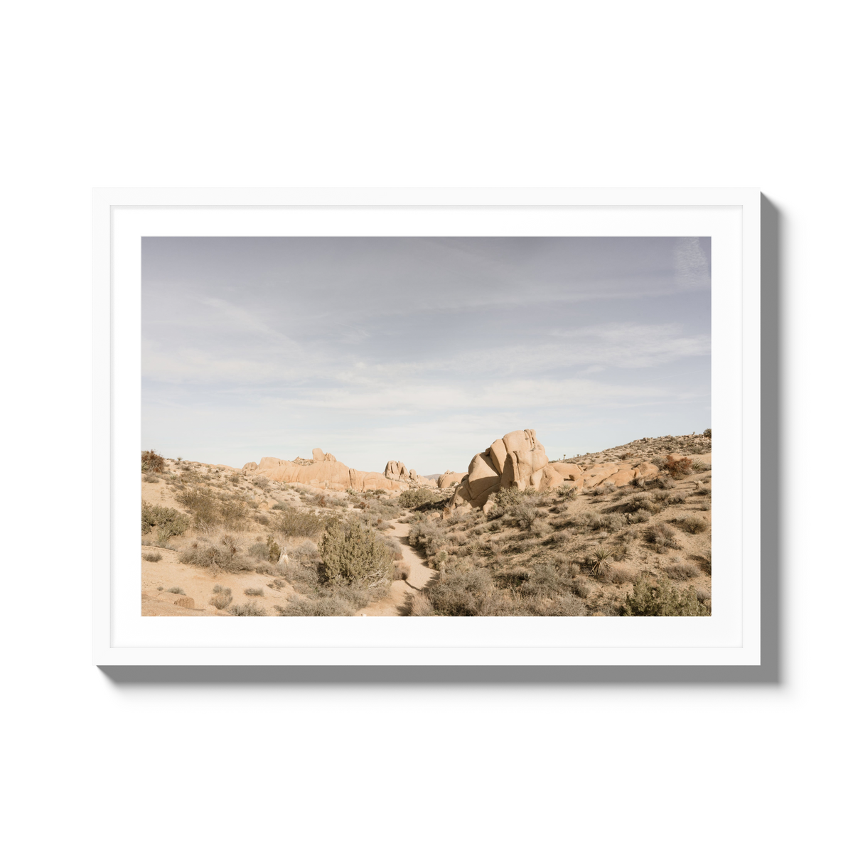 Deset Daydream - X-Large / White / Matted