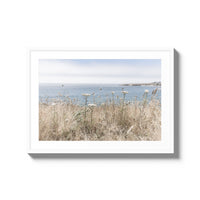California Wildflowers - Large / White / Matted