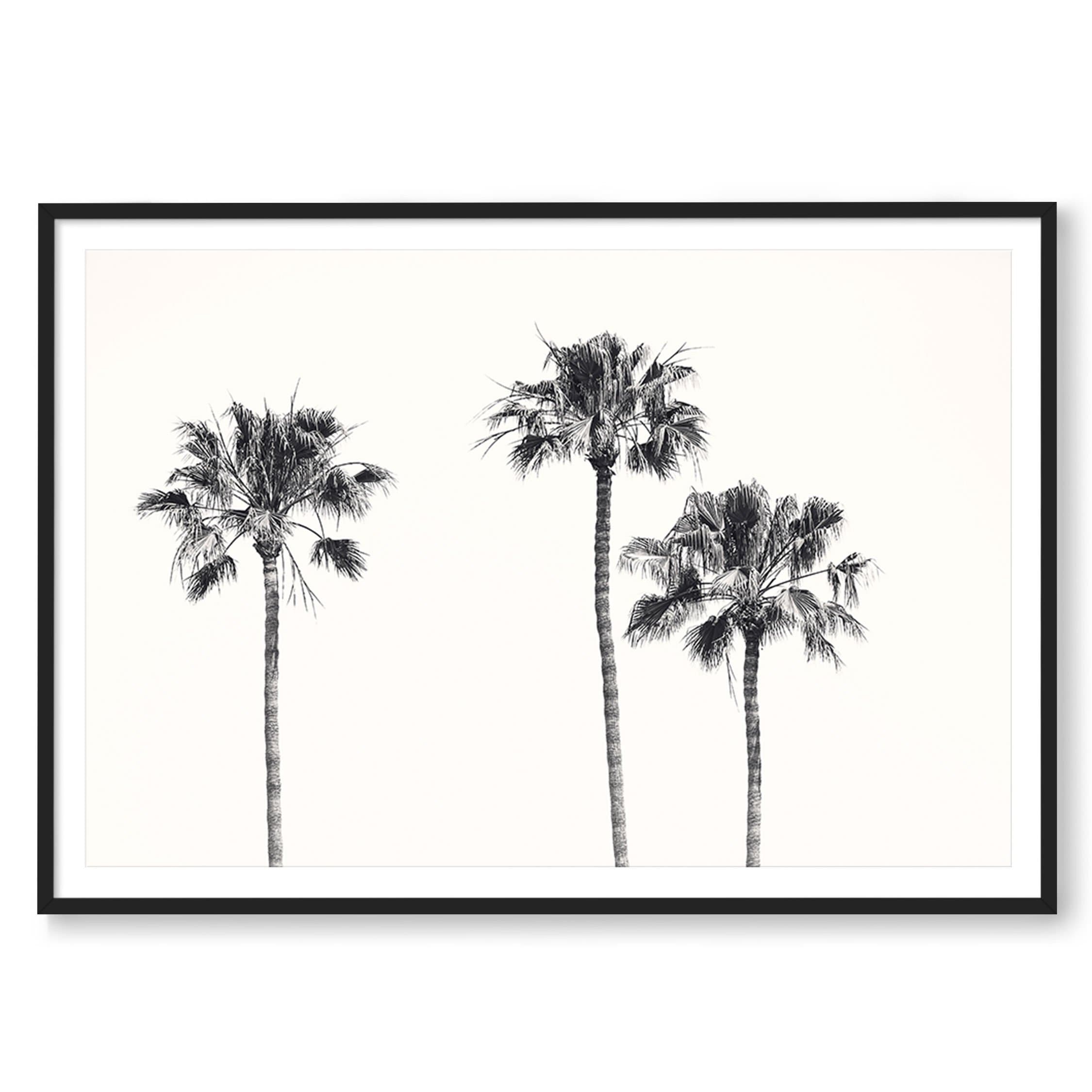 Three Amigos | Framed Wall Art by Carly Tabak | Idyll Collective