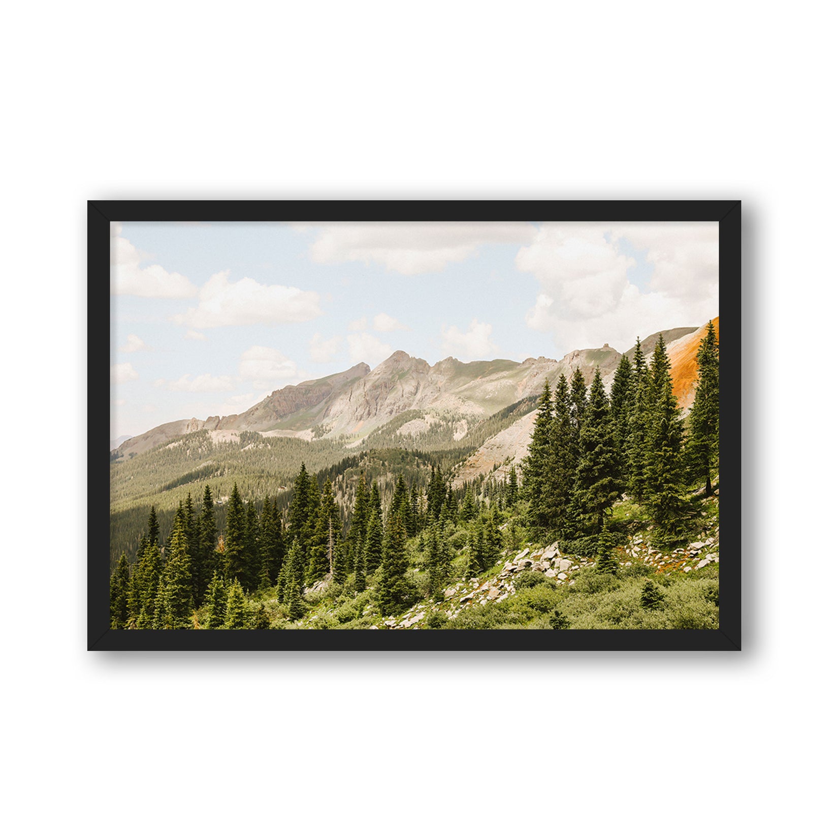 Telluride Pines | Framed Wall Art by Wesley and Emma | Idyll