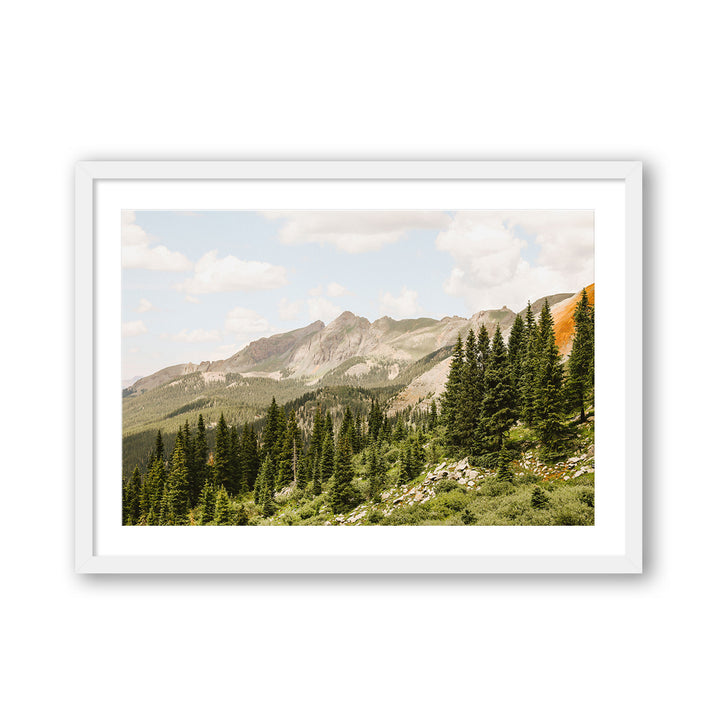 Telluride Pines