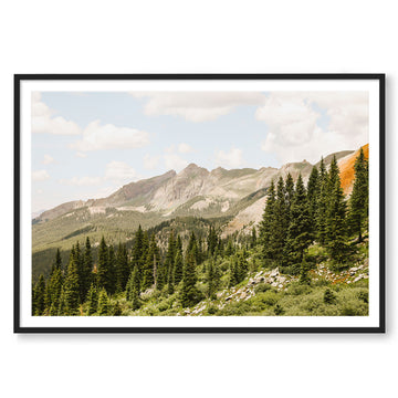 Telluride Pines